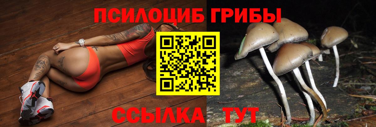сколько стоит  Псилоцибиновые грибы GOLDEN TEACHER  Вход с VPN  Псилоцибиновые грибы мухоморы  Барабинск 